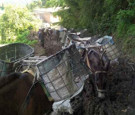 盐田区马帮搬运