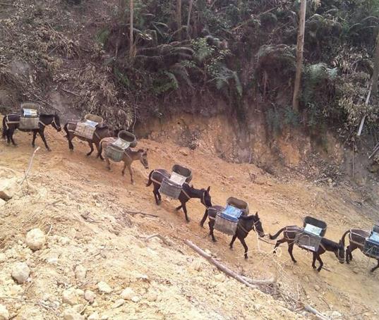 盐田区山路马帮运输