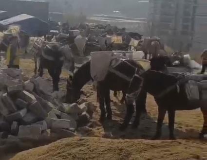 盐田区马队山路运输