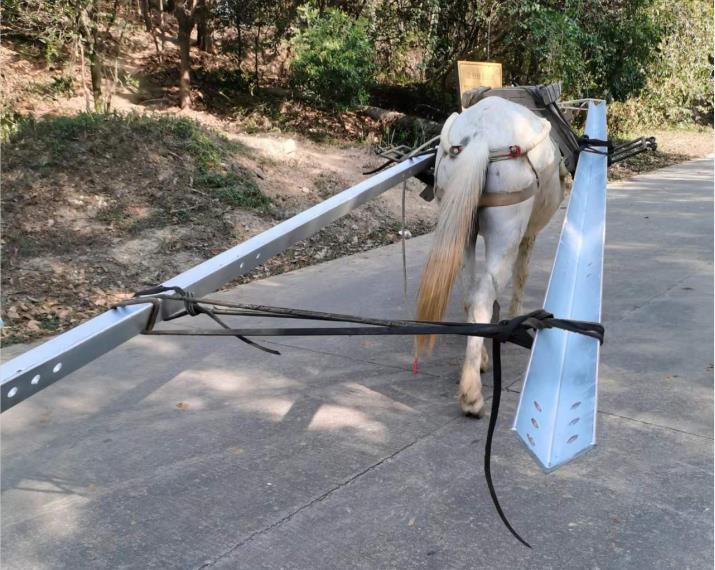 盐田区马队搬运