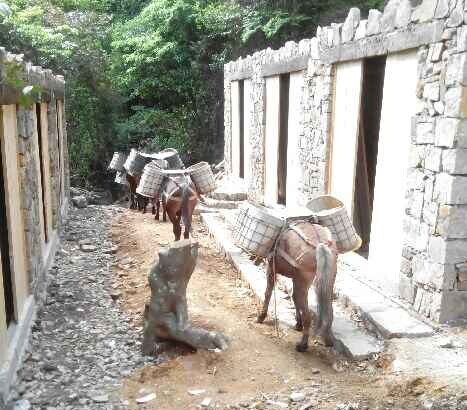 盐田区马队运输队