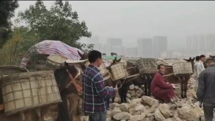 盐田区骡马山区运输