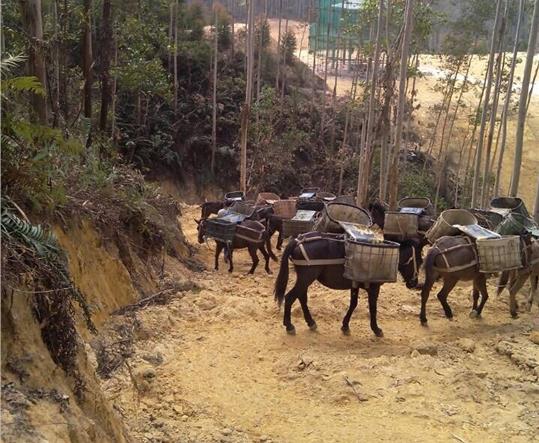 盐田区马帮山路运输