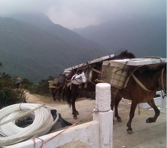 盐田区山区马帮运输
