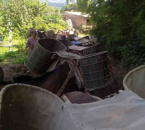 盐田区骡马运输